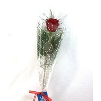 single scarlet rose