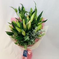 Oriental Lily